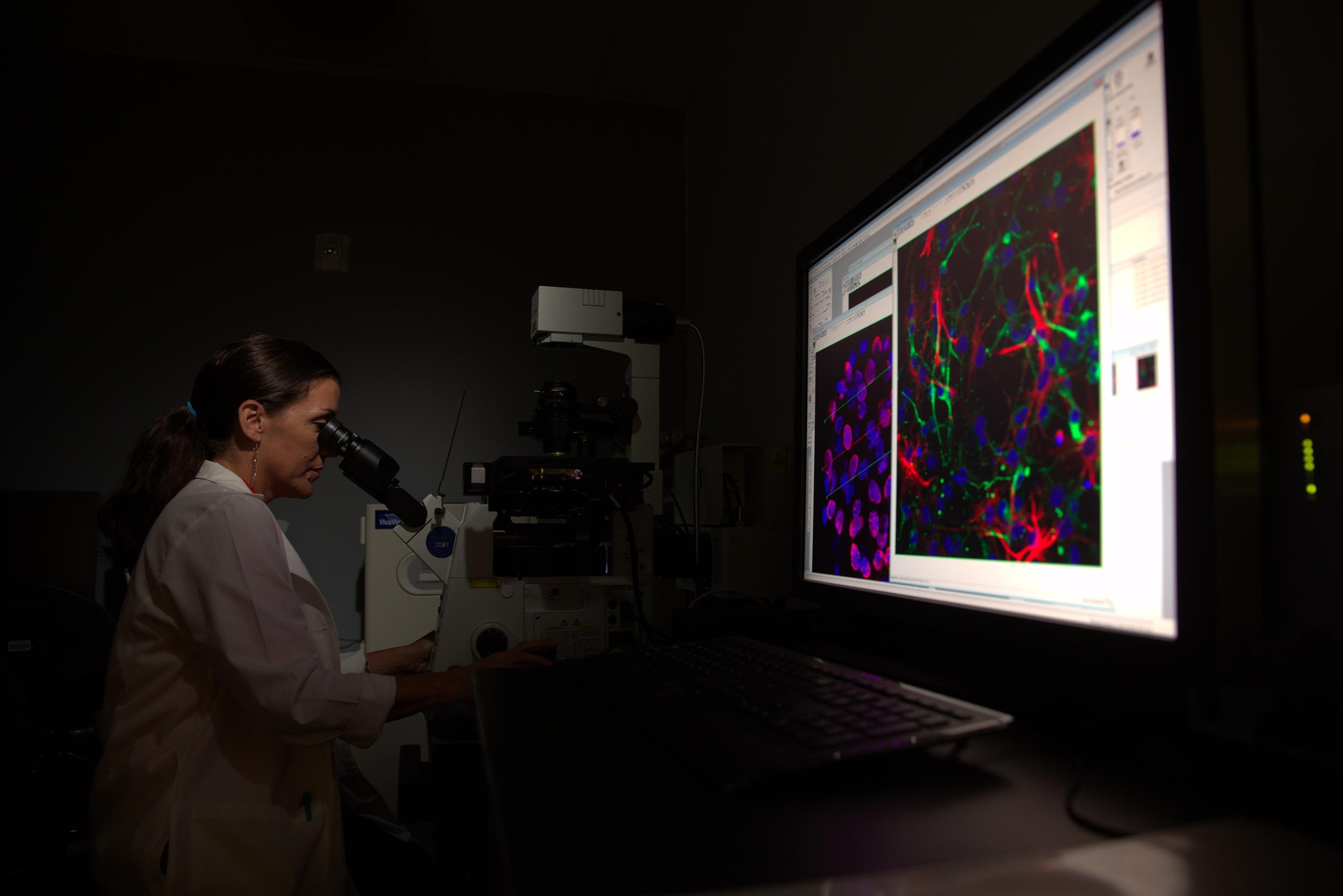 A scientist at the Louisiana Cancer Research Center looks into a microscope