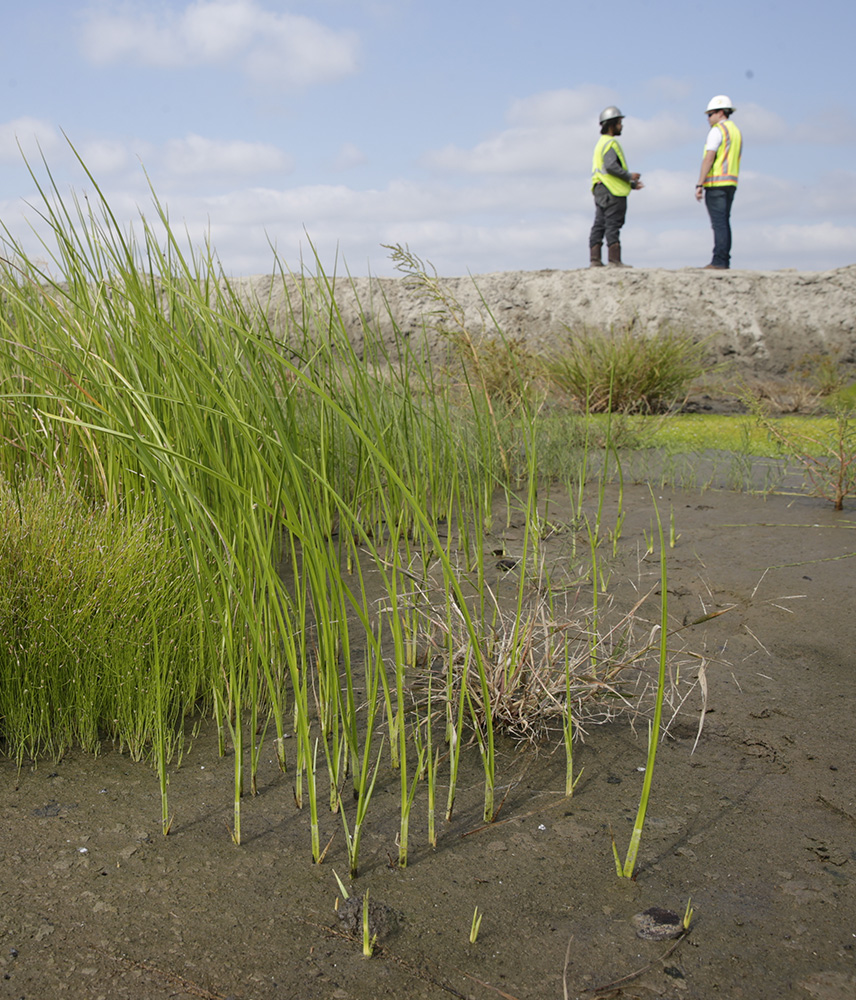 Two workers are seen in one of the bayou areas discussing plans
