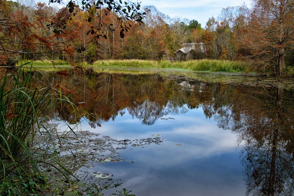 A park facility beside a beautiful pond at Boge Chitto State Park, Washington Parish, Louisiana.